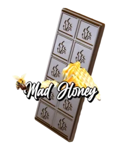 Alternative view of STONED MUSHROOM CHOCOLATE